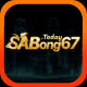 Sabong67