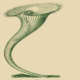 [Avatar for P Goodwin]