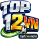 top12vnmobi