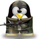echo6