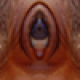 Scott_Ellington