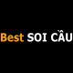 bestsoicaucom