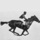 avatar icon