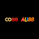 co88vl_com