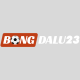 Bongda lu
