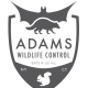 Michael Adams