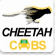 cheetahcabs
