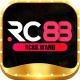 rc88wang1
