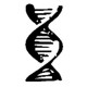 DNA Painting