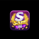 Sam86report