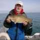 gofishjim