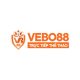 Vebo TV