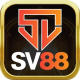 sv88comorg
