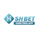 shbet800ap