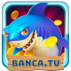 bancatvvs