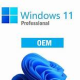 windows11prod