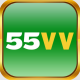 55VV