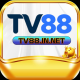 Tv88innet1