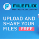 fileflixnet1