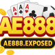 ae888exposed1