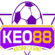 Keo 88