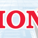 lionelectriccables