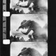 FILM