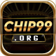 Chip99 org