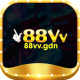 8vvgdn