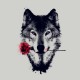 DesiredWolf