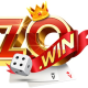 Zowin