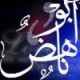 ابن فلسطين2