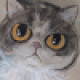 Avatar of dongyun