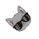 androneko