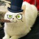 TheUnknownNoob