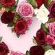 أبو سليمان الشمالي
