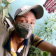 refan