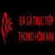 Đá Gà Trực Tiếp