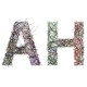 Avatar of a.h