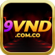 vndcomco9