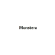monsteravn