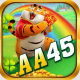 AA45