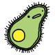 AmoebaMan