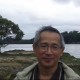Tim Lee