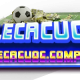tylecacuocyq
