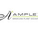 Amplex Nursery