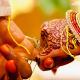 aryasamajwed