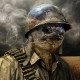 Riskbreaker