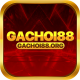 gachoi88orgg