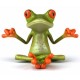 MrFroggy